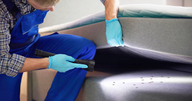 Best Wasp Removal Services  in Columbia, PA
