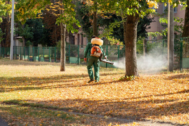 Best Emergency Pest Control  in Columbia, PA