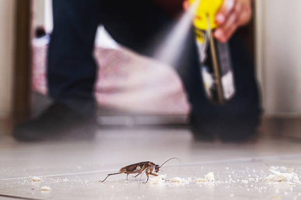 Flea Control Services in Columbia, PA