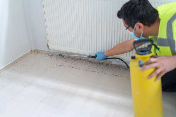 Best Termite Control Services  in Columbia, PA